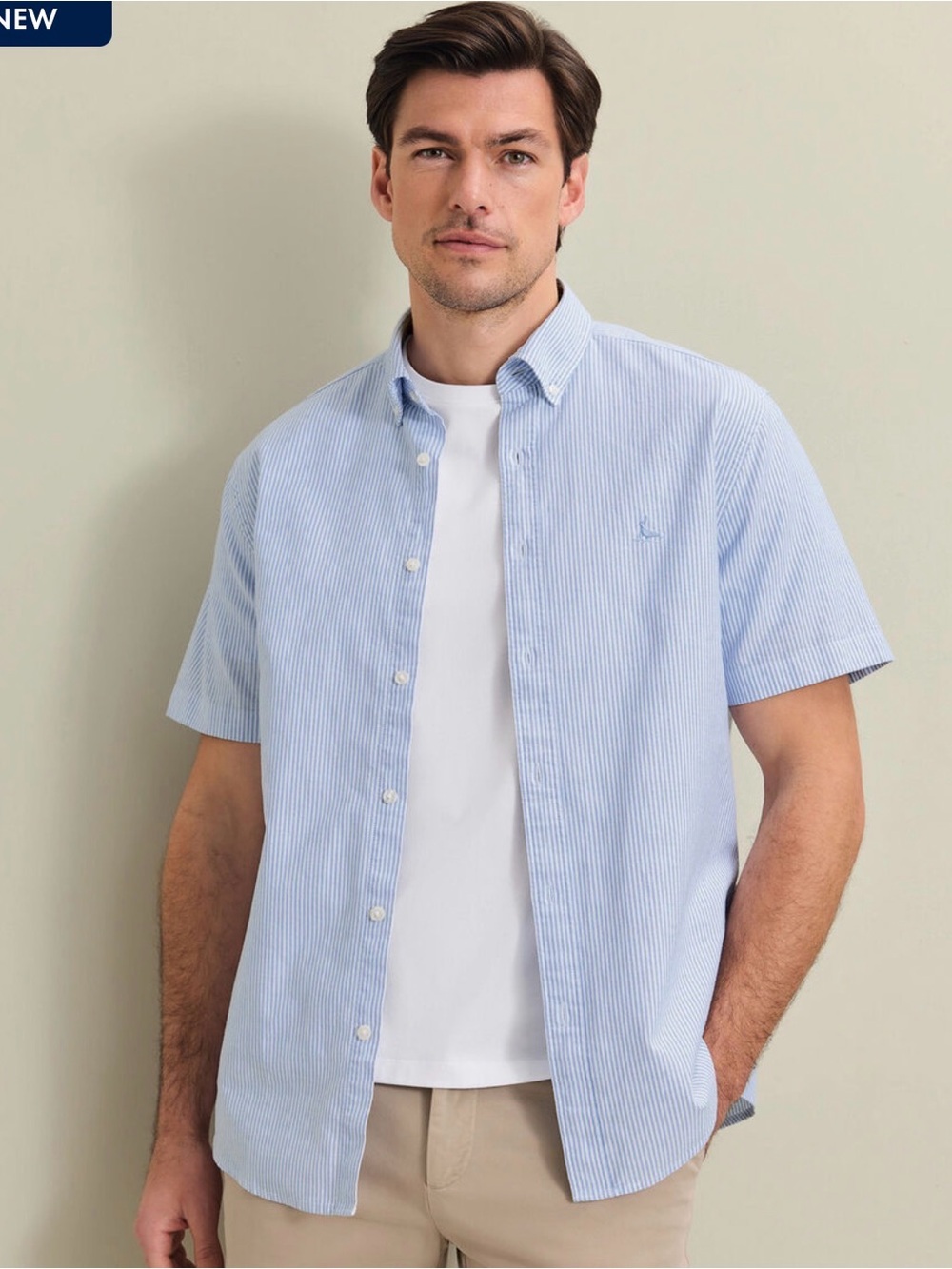 Charles Tyrwhitt Short Sleeve Button-Down Stretch Washed Oxford Stripe Shirt